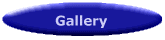 Find You Picture